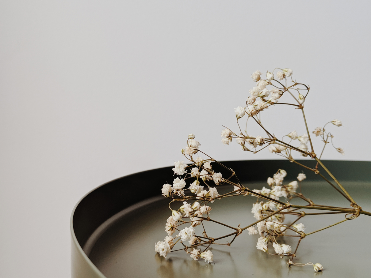 Baby's breath flowers on green tray